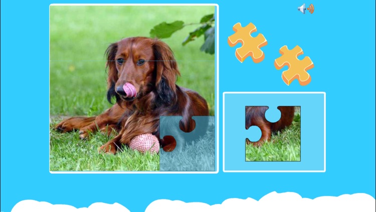 Cute Puppies Jigsaw Puzzles