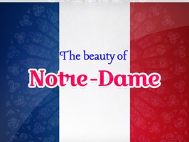 In response to the indescribable tragedy of seeing the most unbelievably beautiful heart of Paris go up in flames, we'd like to share and reflect on Notre-Dames spectacular history by celebrating through the medium of Art