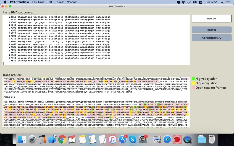 RNA Translator screenshot1