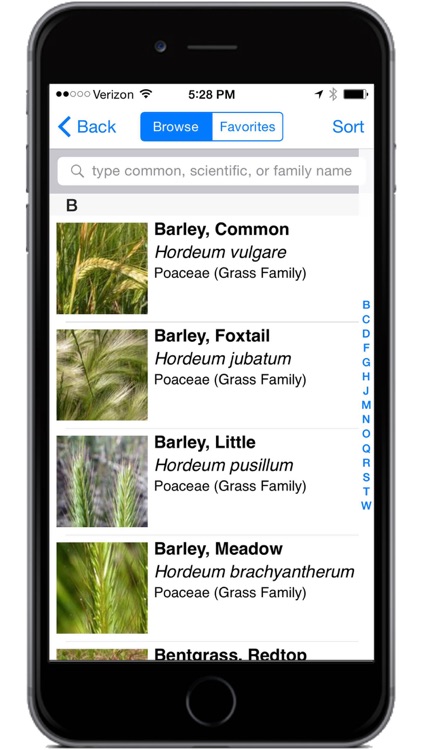 Montana Grasses screenshot-3