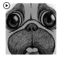 Animated Pug Dog PugMoji apk