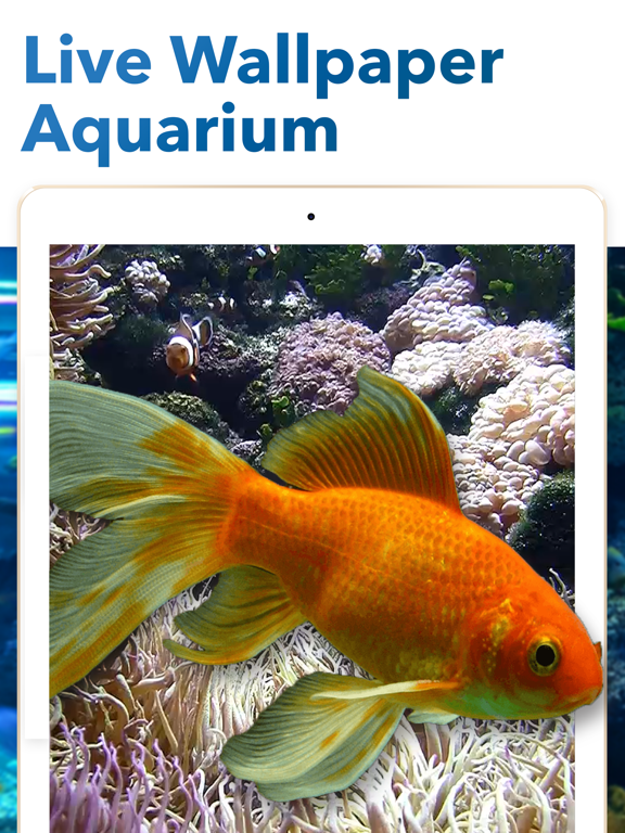 Aquarium Dynamic Wallpaper 4Kのおすすめ画像1