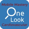 OneLook CV Mobile Mastery