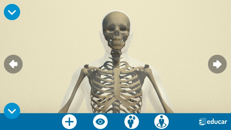 Mi Cuerpo Humano en 3D