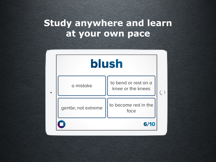 4th Grade Vocabulary Challenge