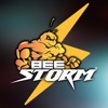 BeeStorm
