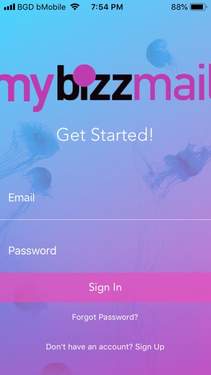 Bizzmail App