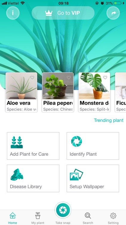 PlantFinder - Quick identifier