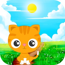 萌猫旅行-全民云养猫