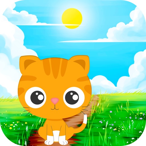 萌猫旅行-全民云养猫