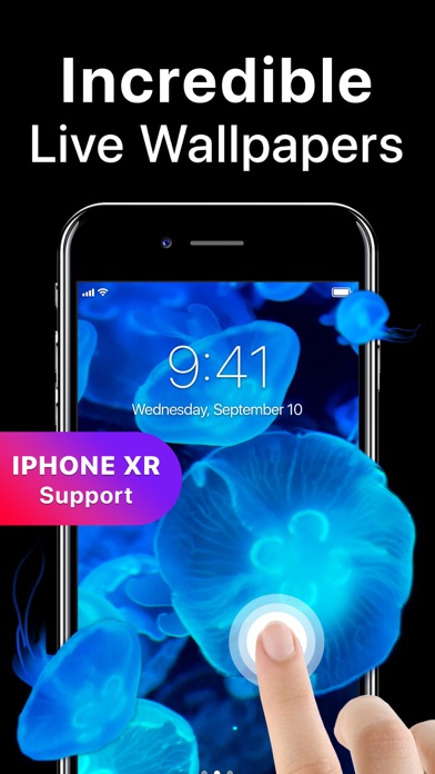 Live Wallpaper 4K in 2019 for iPhone & iPad
