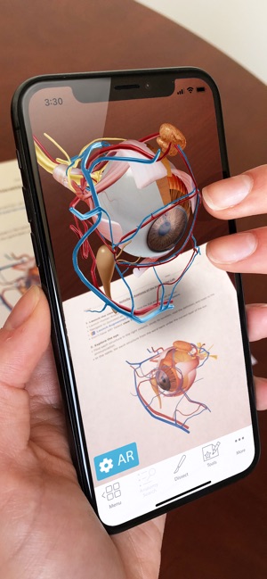 Human Anatomy Atlas 2019(圖5)-速報App