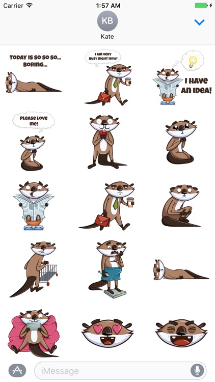 Sticker Me: Raccoon Character