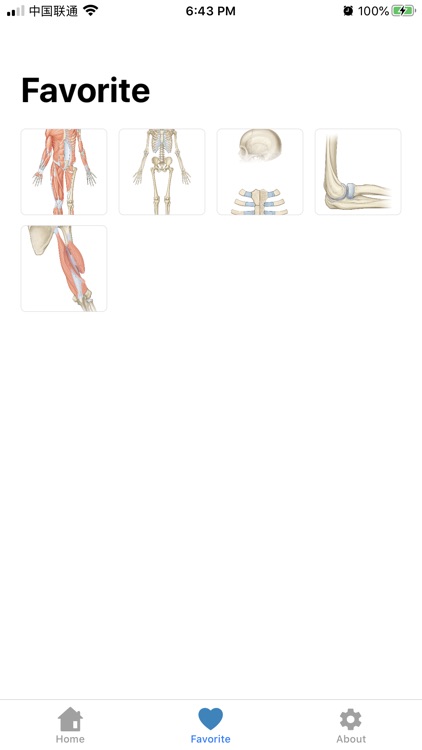 Human Anatomy -Anatomical term screenshot-4