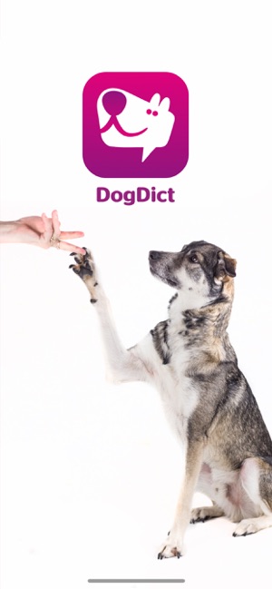 DogDict – Hundelehrvideos