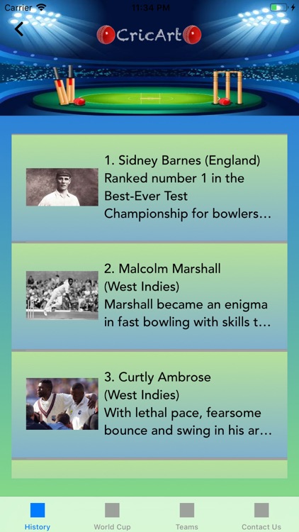 CricArt screenshot-5