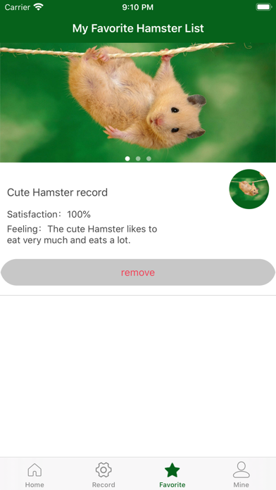 My Cute Hamster Record Tool screenshot 3