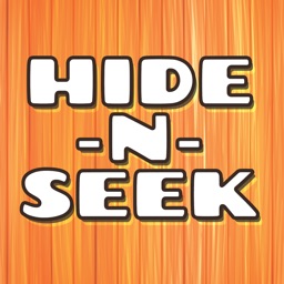 Hide n Seek Puzzle