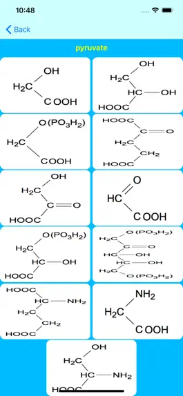 Game screenshot Photorespiration Tutor hack