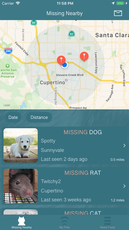 Missing Pet Finder