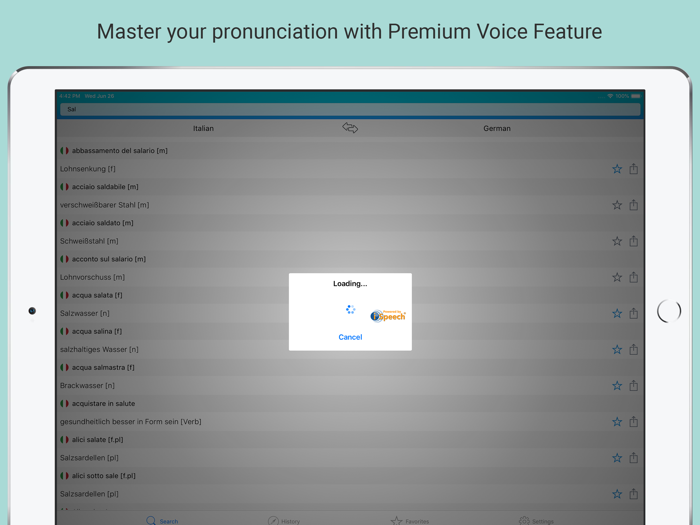 German Italian Dictionary