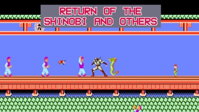 Kungfu NES Screenshot 5
