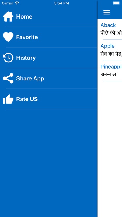 iDictionary English - Hindi screenshot-5