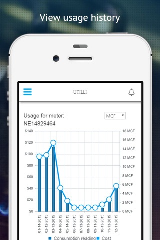 Utilli Mobile screenshot 4