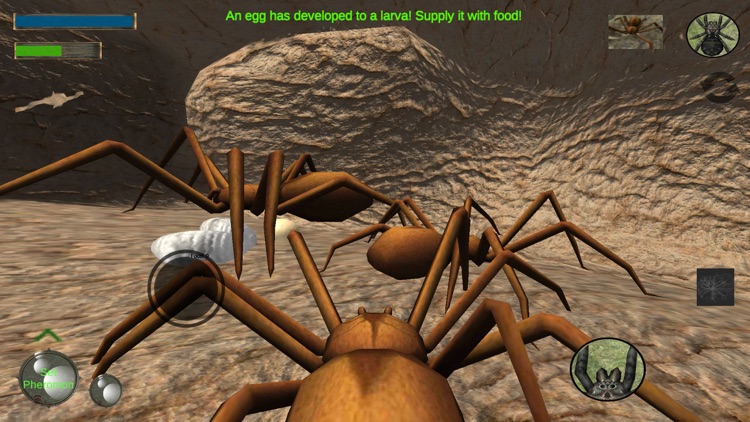 Spider Colony Simulator screenshot-4