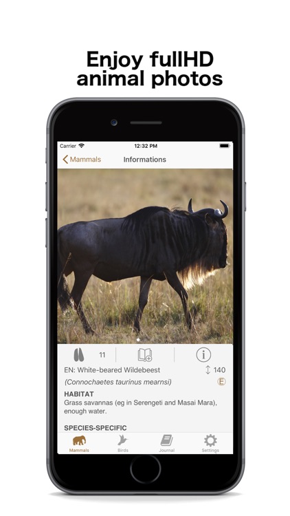 African Safariguide