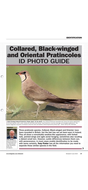 Birdwatch Magazine(圖5)-速報App