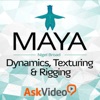 Ask.Video Guide for Maya 202