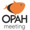 Opah Meeting: videoconferências mais seguras, flexíveis, sem limite de participantes e tempo de duração