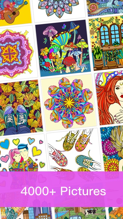 Color Number - Paint by Number