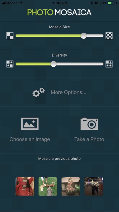 Photo Mosaica Screenshot 4