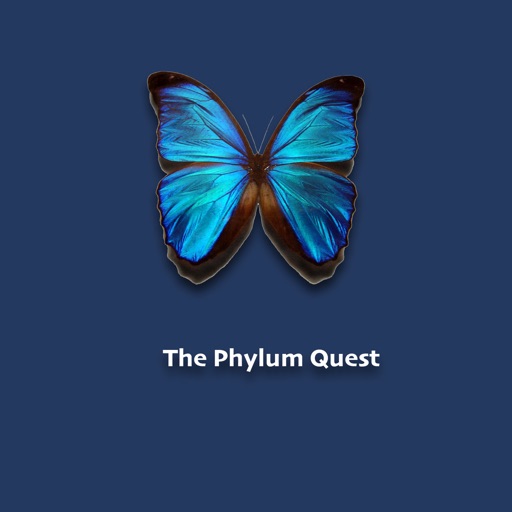 The Phylum Quest