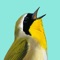 Song Sleuth turns your iPhone or iPad into an automatic bird song identifier covering the 200 most common vocalizing land birds in North America
