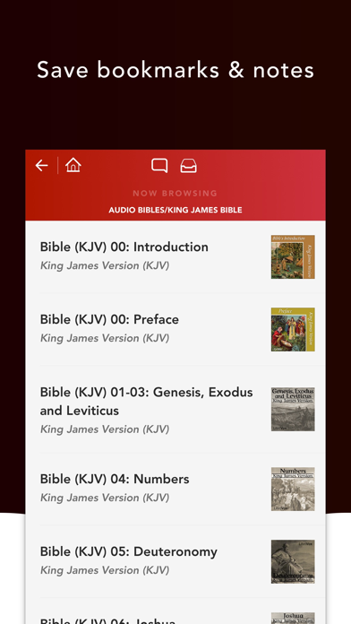 Audio Bibles screenshot1