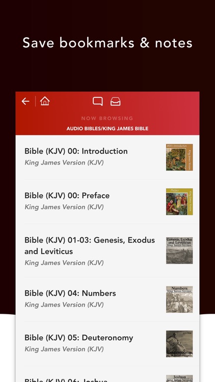 Audio Bibles screenshot-2