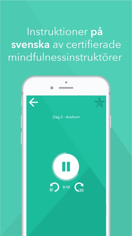 Mindfulnessresan