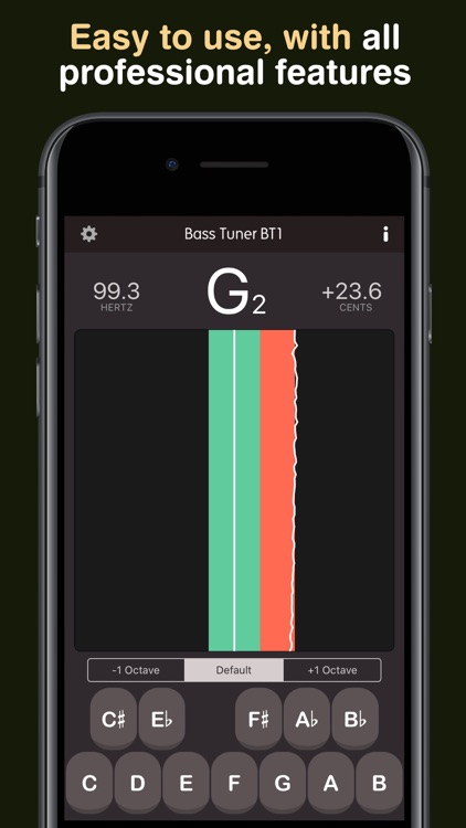 Bass Tuner BT1 screenshot-6