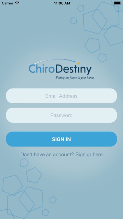 ChiroDestiny