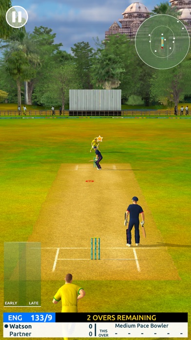 Cricket Megastar Screenshot 2