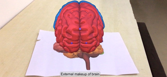 AR Human brain(圖4)-速報App