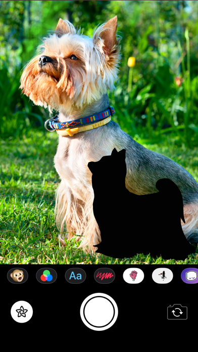 Dog Silhouettes Stickers screenshot 2