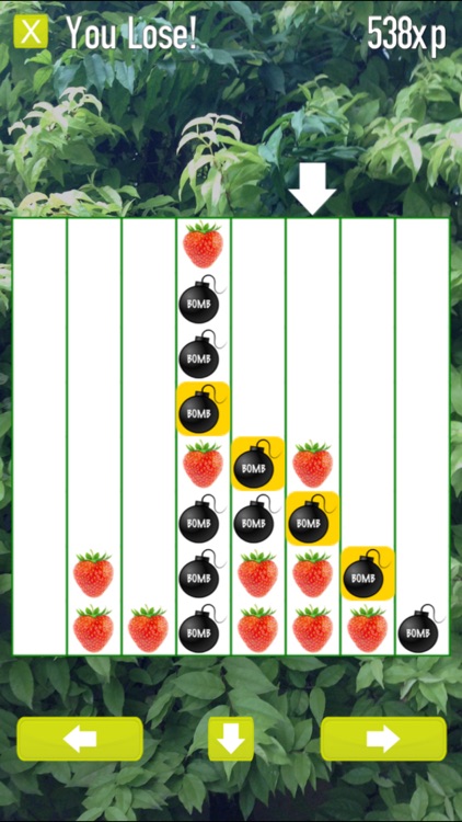 TtFruits screenshot-4