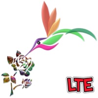 Create Live Wallpaper & Themes pour PC