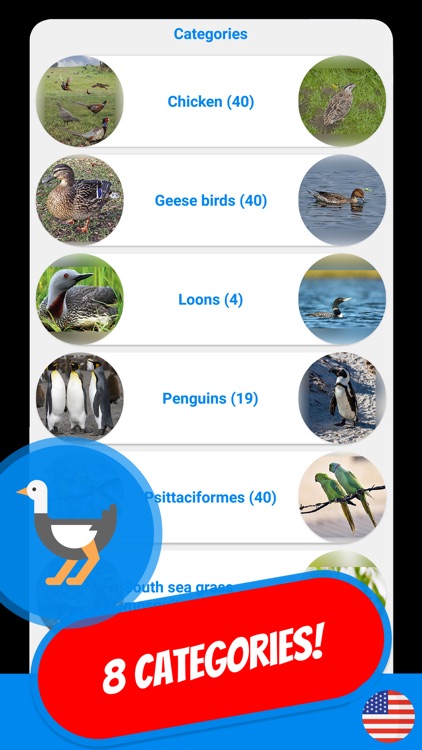 BIRDS & ORNITHOLOGY Quiz