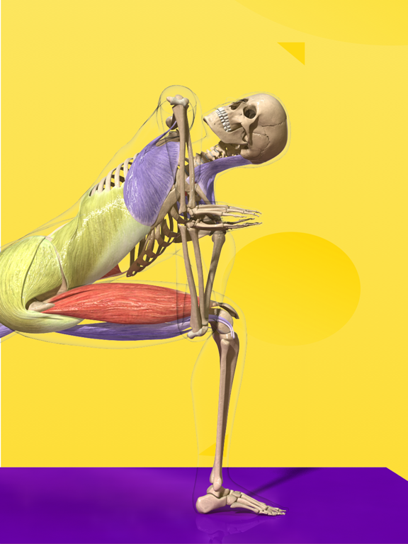 3Dbody-三维运动解剖、经络穴位等医学知识平台のおすすめ画像2
