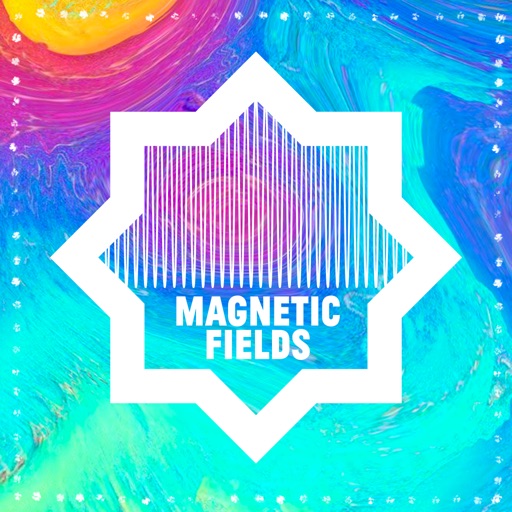 Magnetic Fields Festival 2019